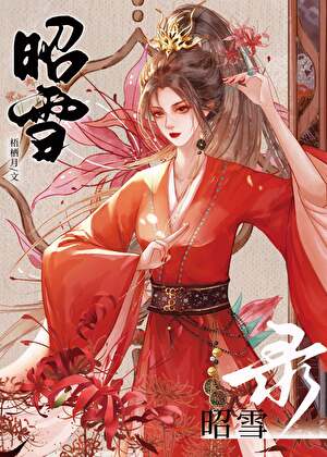 昭雪录（探案）