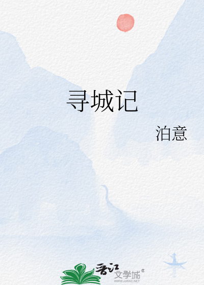 寻城记